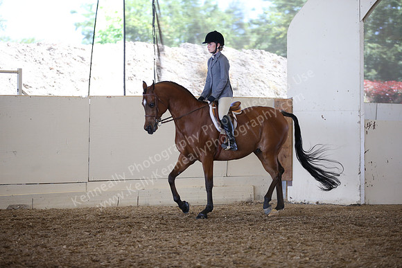 AHANC_Show18_SatPM_3105