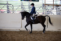 AHANC_Show18_SatPM_3111