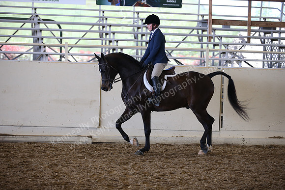 AHANC_Show18_SatPM_3111