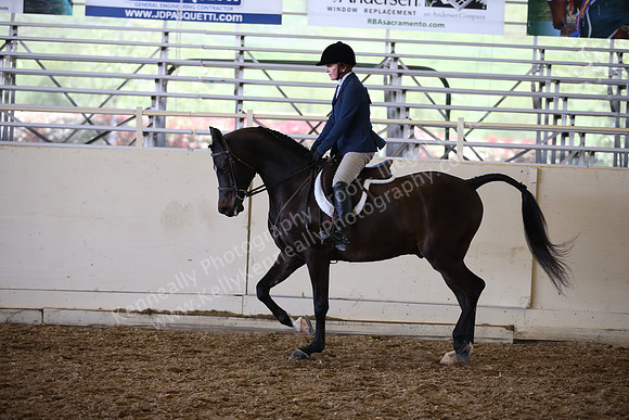 AHANC_Show18_SatPM_3112
