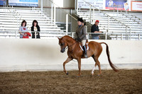 AHANC_Show18_SatPM_3113