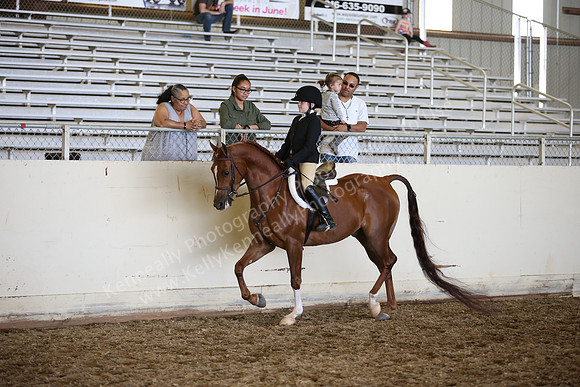 AHANC_Show18_SatPM_3170