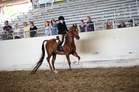 AHANC_Show18_SatPM_3179