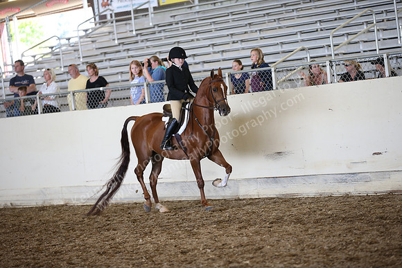 AHANC_Show18_SatPM_3179
