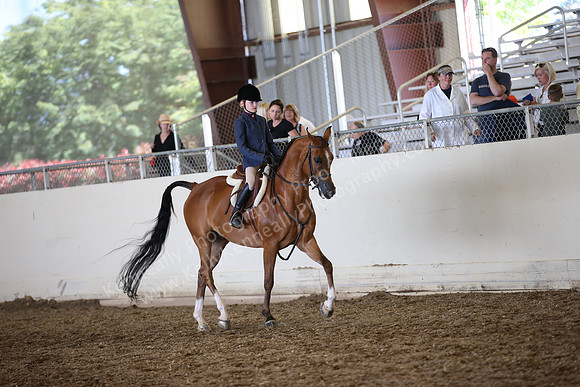 AHANC_Show18_SatPM_3182