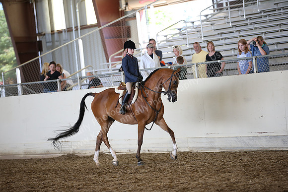 AHANC_Show18_SatPM_3183