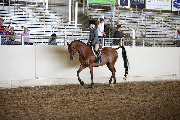 AHANC_Show18_SatPM_3121