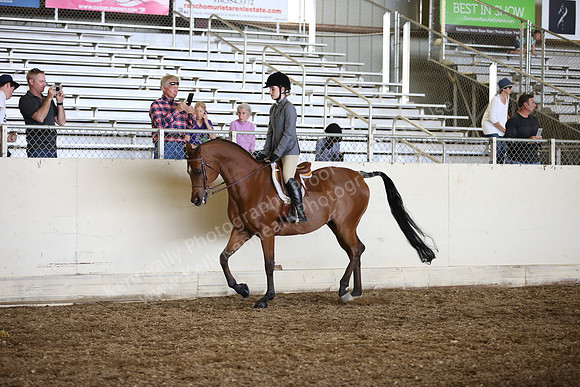 AHANC_Show18_SatPM_3122