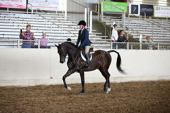 AHANC_Show18_SatPM_3125