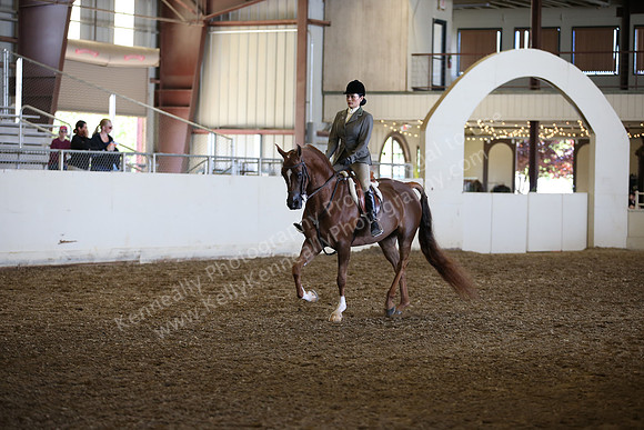 AHANC_Show18_SatPM_3129