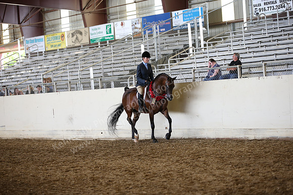AHANC_Show18_SatPM_3138