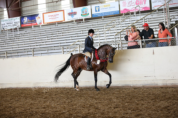 AHANC_Show18_SatPM_3141