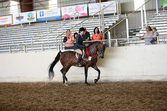 AHANC_Show18_SatPM_3142