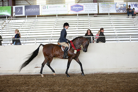 AHANC_Show18_SatPM_3144