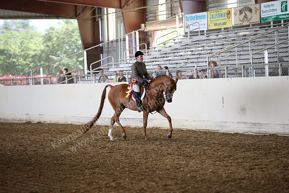 AHANC_Show18_SatPM_3147