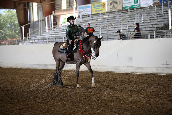 AHANC_Show18_SatPM_3066