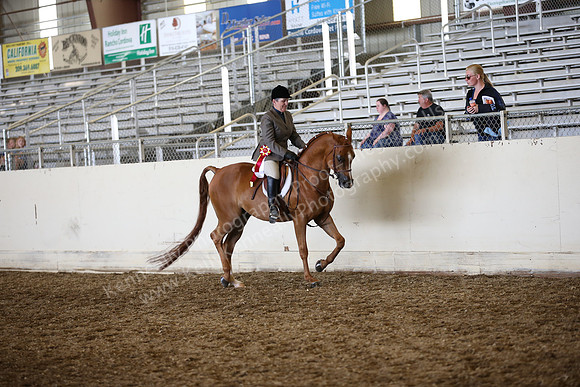 AHANC_Show18_SatPM_3149