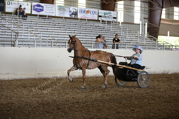 AHANC_Show18_SatPM_3220
