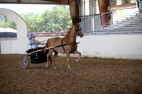 AHANC_Show18_SatPM_3223