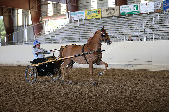 AHANC_Show18_SatPM_3225