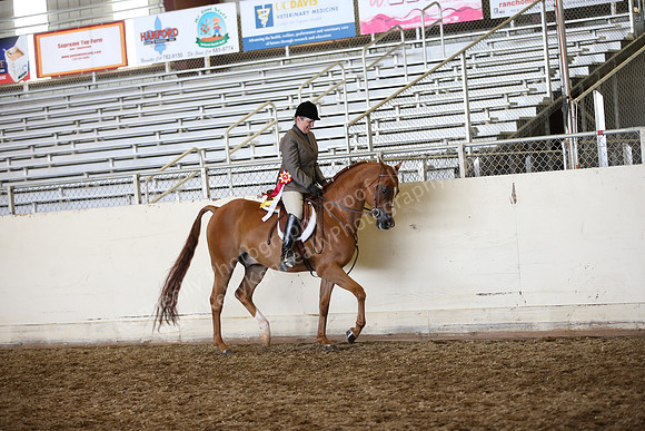 AHANC_Show18_SatPM_3151
