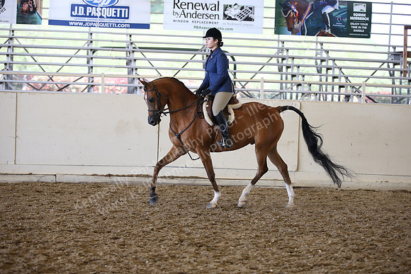 AHANC_Show18_SatPM_3255