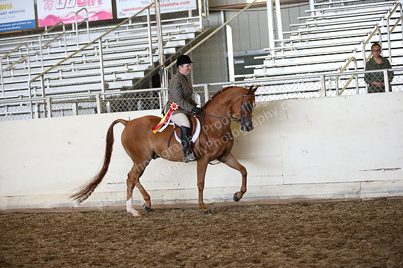 AHANC_Show18_SatPM_3153
