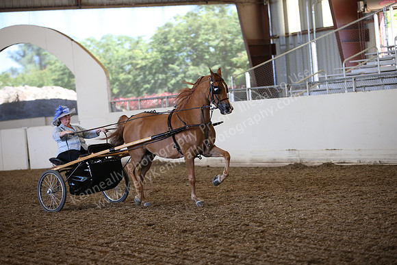 AHANC_Show18_SatPM_3228