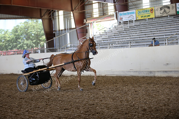 AHANC_Show18_SatPM_3229