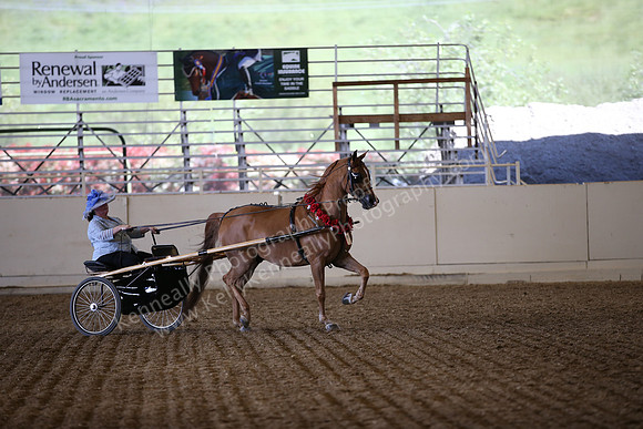 AHANC_Show18_SatPM_3234