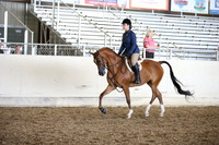 AHANC_Show18_SatPM_3264