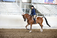AHANC_Show18_SatPM_3265