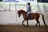AHANC_Show18_SatPM_3108
