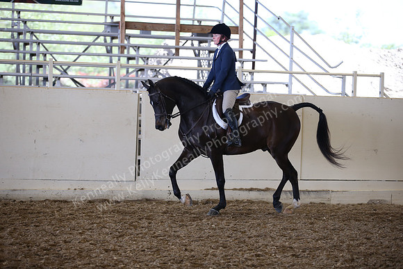 AHANC_Show18_SatPM_3110