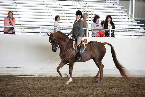AHANC_Show18_SatPM_3115