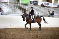 AHANC_Show18_SatPM_3267