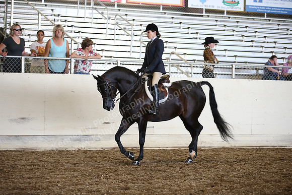 AHANC_Show18_SatPM_3118