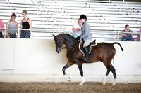 AHANC_Show18_SatPM_3272