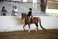 AHANC_Show18_SatPM_3169