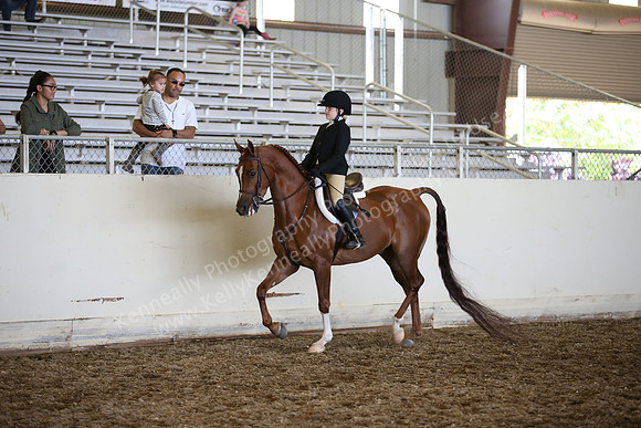AHANC_Show18_SatPM_3169
