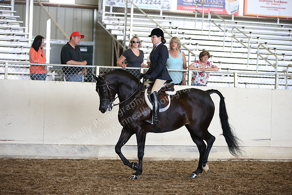 AHANC_Show18_SatPM_3119