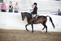 AHANC_Show18_SatPM_3276
