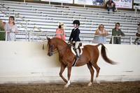 AHANC_Show18_SatPM_3174
