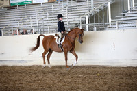 AHANC_Show18_SatPM_3176