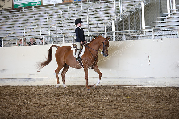 AHANC_Show18_SatPM_3176