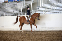 AHANC_Show18_SatPM_3177
