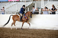 AHANC_Show18_SatPM_3281