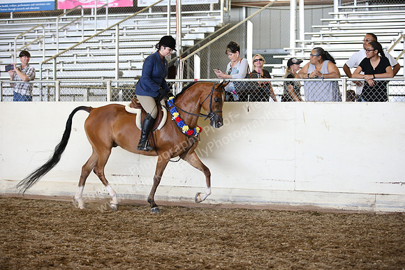 AHANC_Show18_SatPM_3281