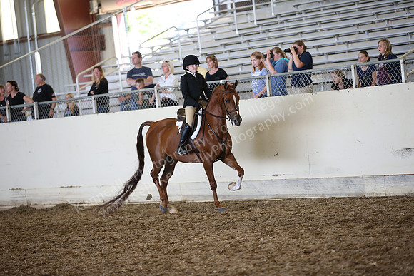 AHANC_Show18_SatPM_3178