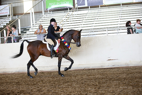 AHANC_Show18_SatPM_3288